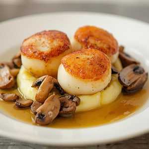 ROASTED ORKNEY SCALLOP