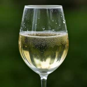 Vibrant New Zealand Sauvignon Blanc