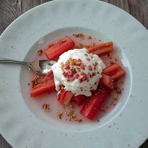 Yorkshire Rhubarb, Yoghurt Sorbet, Pink Praline