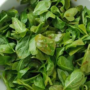Green Salad