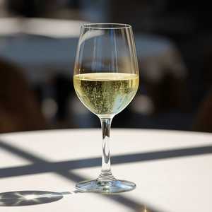 Vermentino Timo'