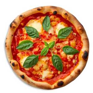 Margherita Pizza
